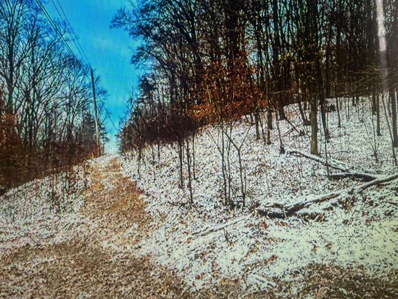 0 Blue Creek Road, Jefferson Twp, OH 45616 Photo 8