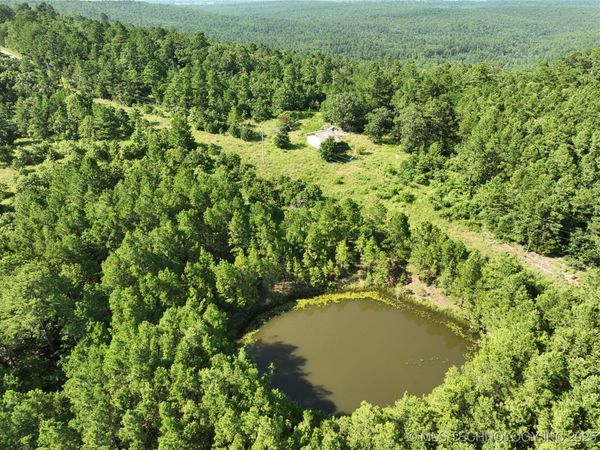 2 Hulsey Prairie , Panola, OK 74559