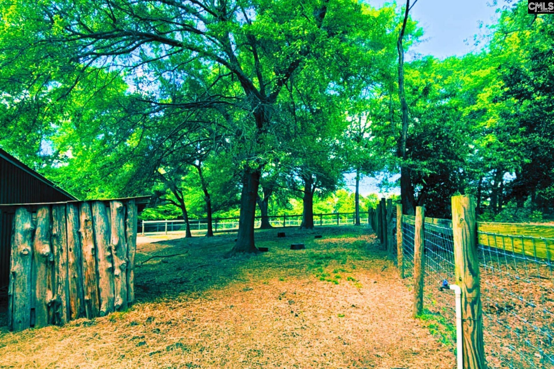 360 Twisting Road Photo 19