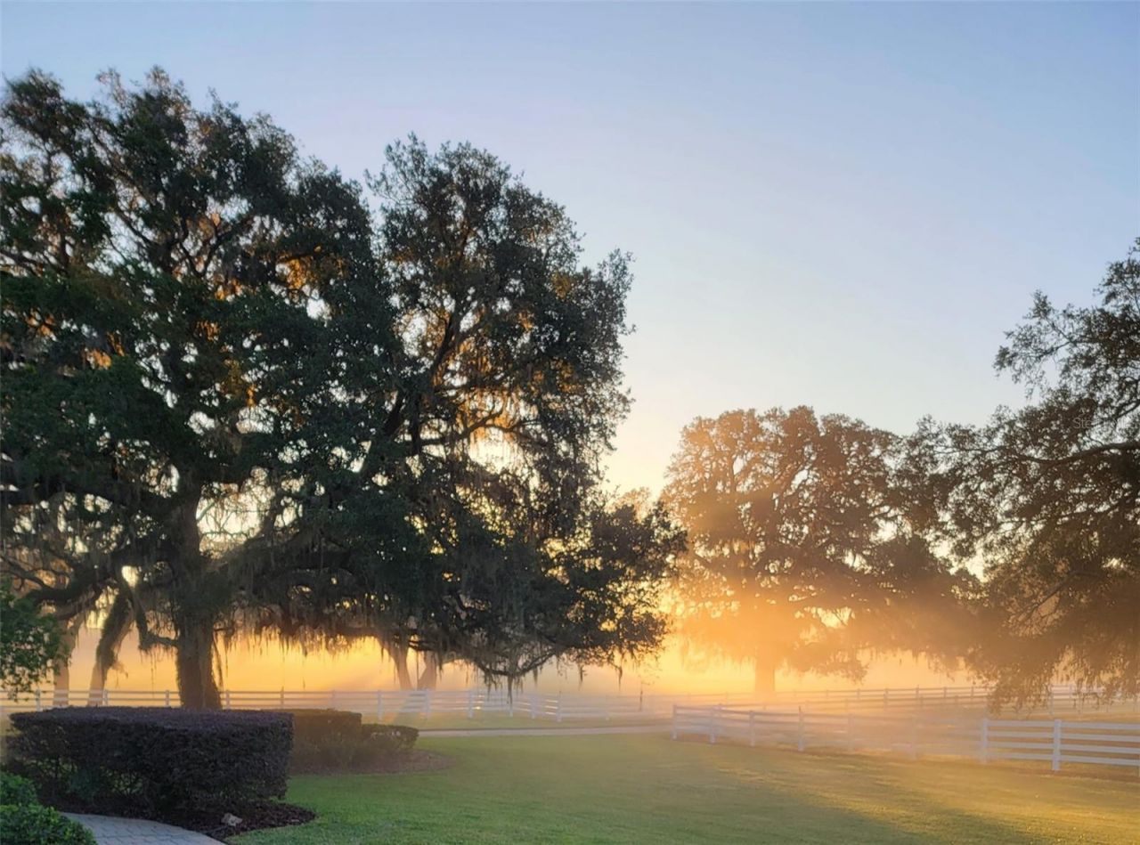 209 Kentucky Blue Circle, Apopka, FL 32712 Photo