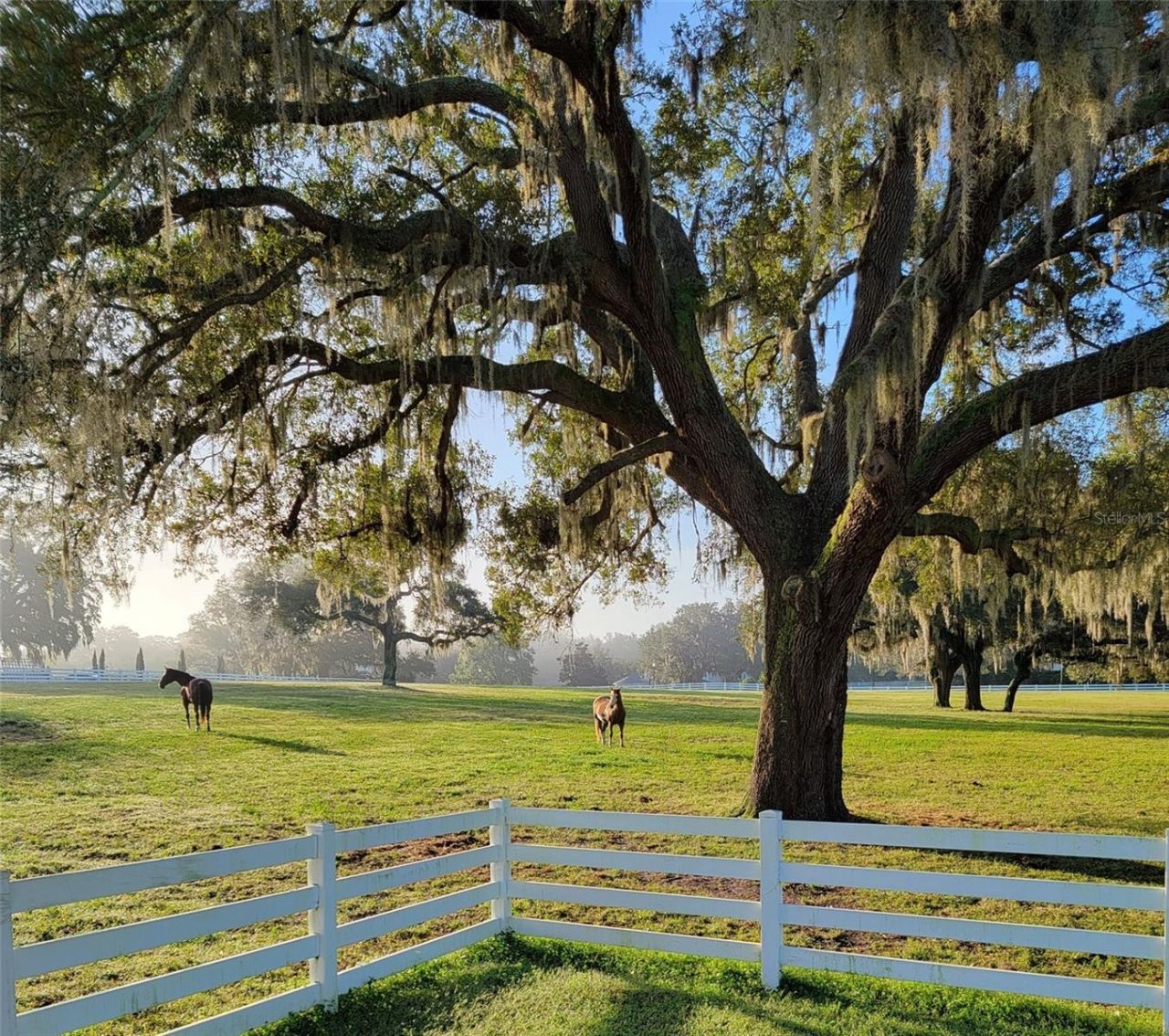 209 Kentucky Blue Circle, Apopka, FL 32712 Photo