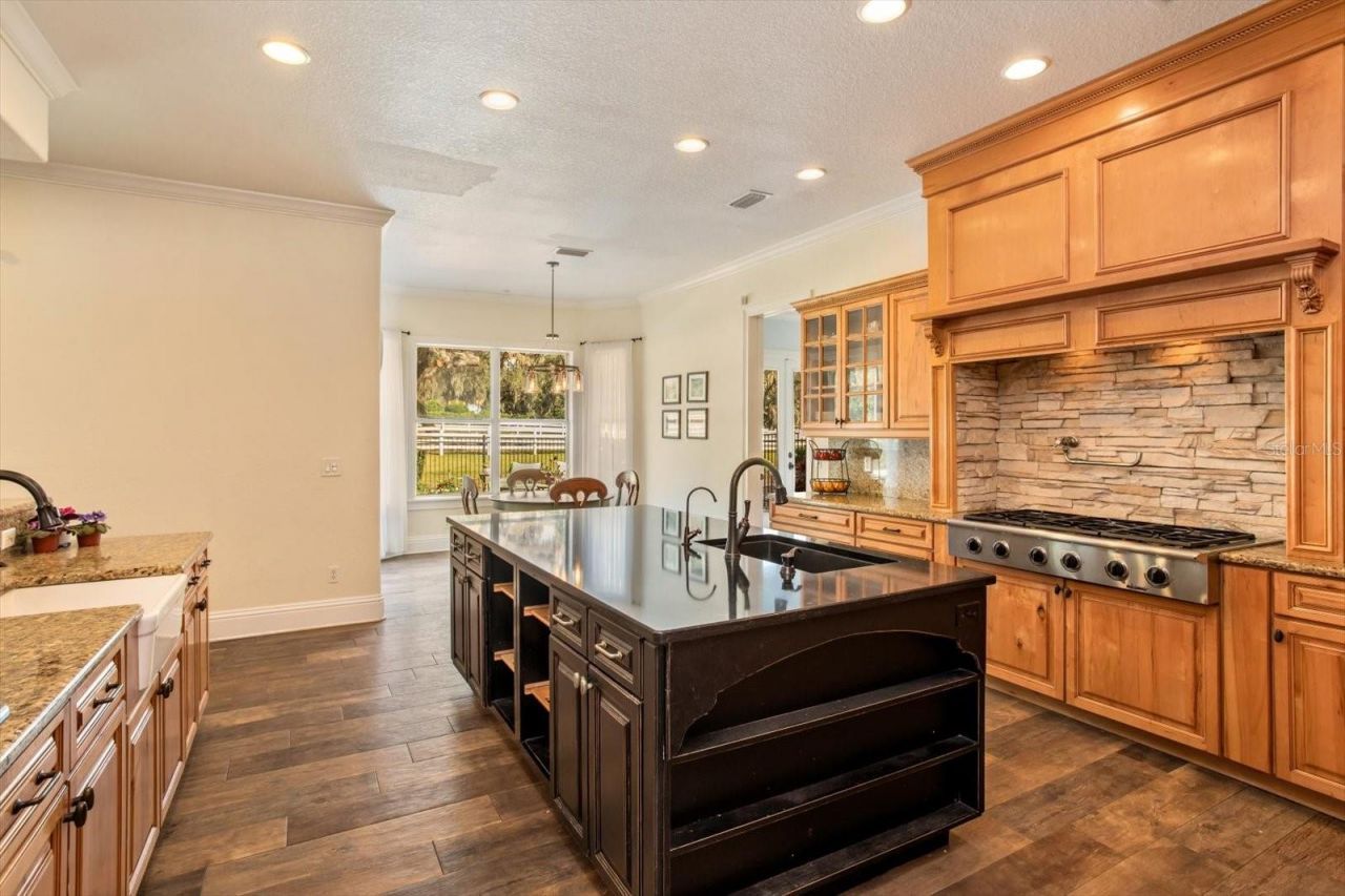 209 Kentucky Blue Circle, Apopka, FL 32712 Photo