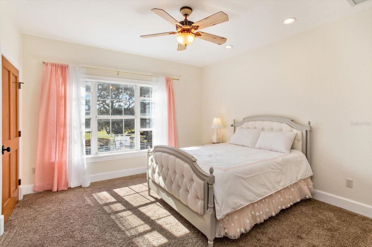 209 Kentucky Blue Circle, Apopka, FL 32712 Photo