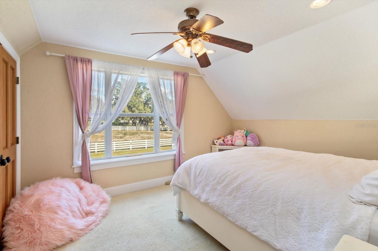 209 Kentucky Blue Circle, Apopka, FL 32712 Photo