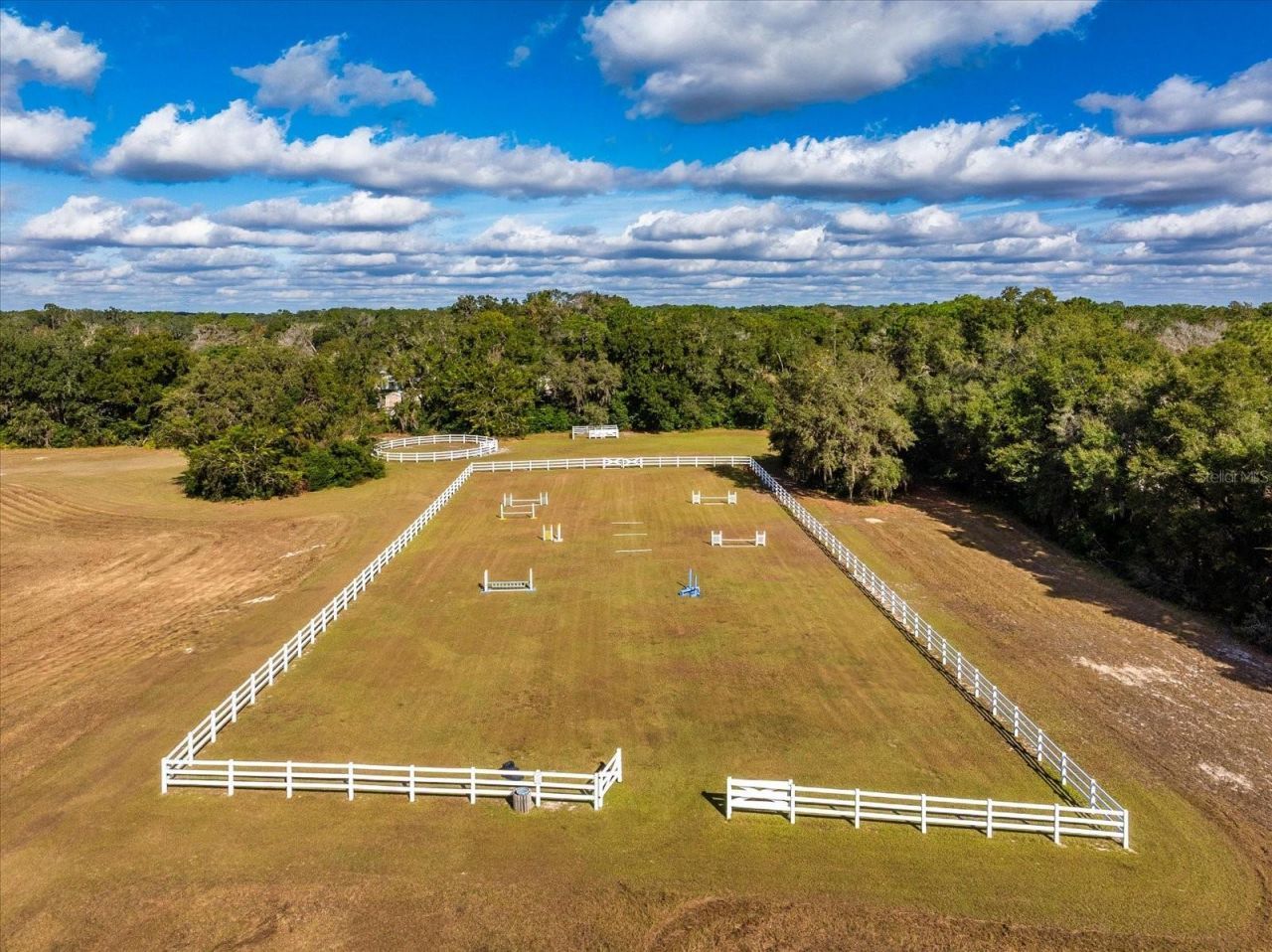 209 Kentucky Blue Circle, Apopka, FL 32712 Photo