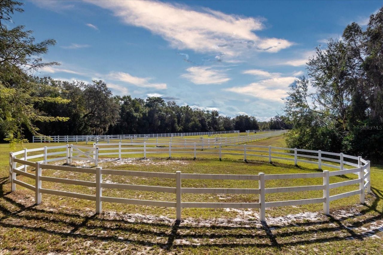 209 Kentucky Blue Circle, Apopka, FL 32712 Photo