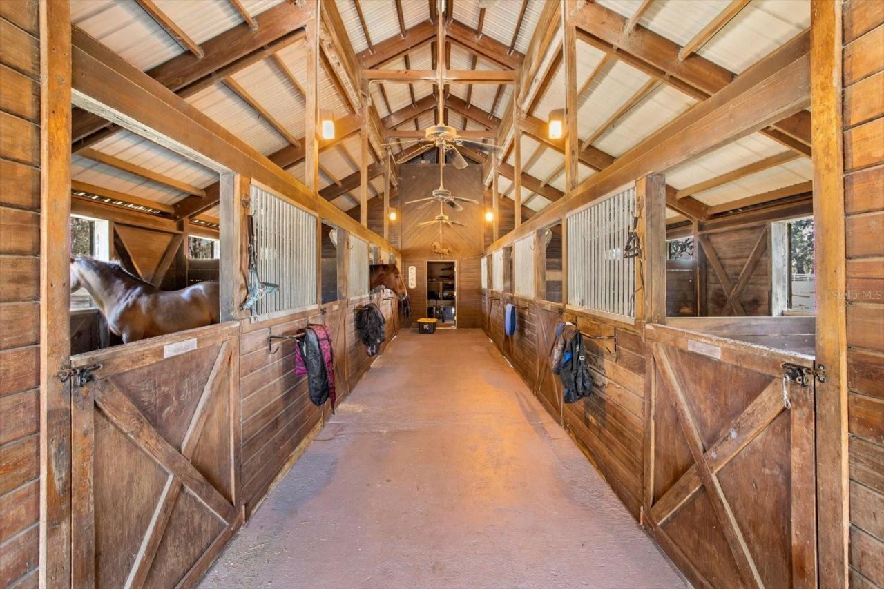 209 Kentucky Blue Circle, Apopka, FL 32712 Photo