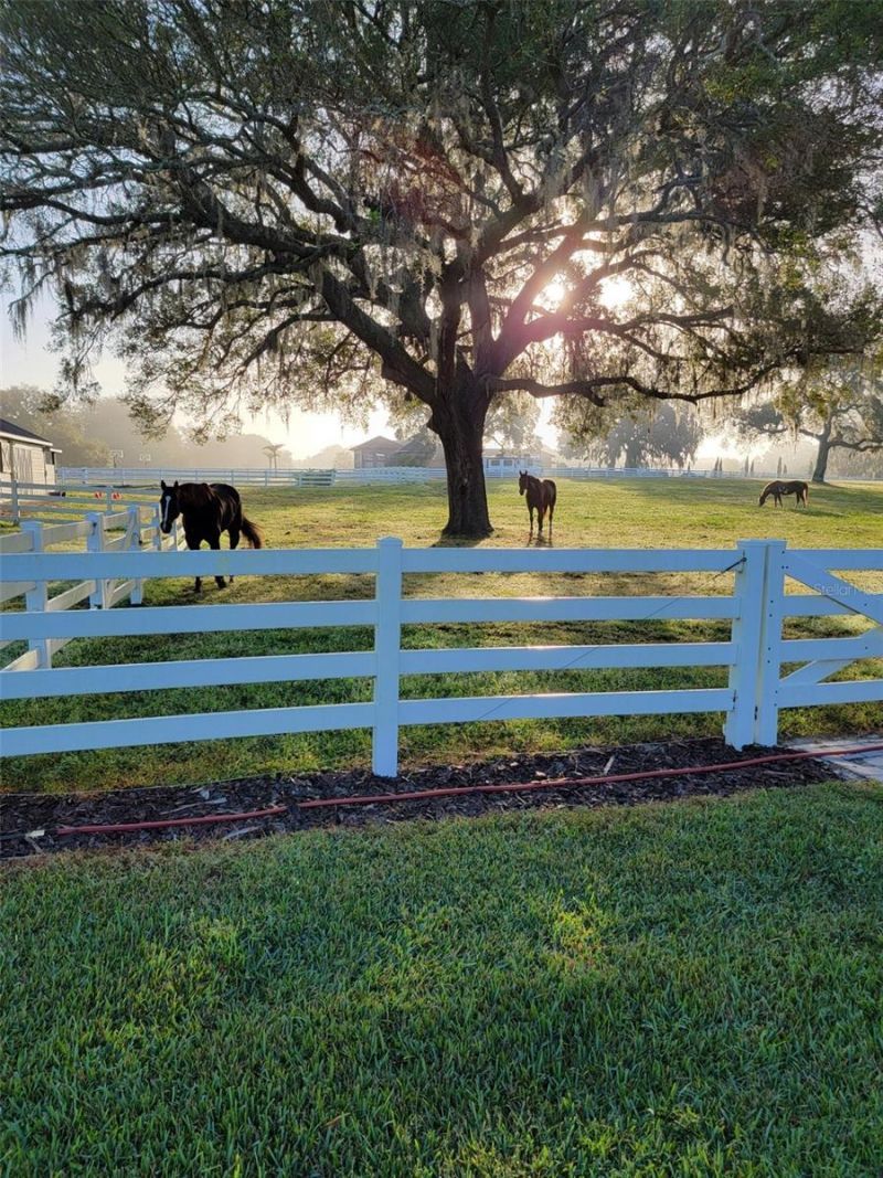 209 Kentucky Blue Circle, Apopka, FL 32712 Photo