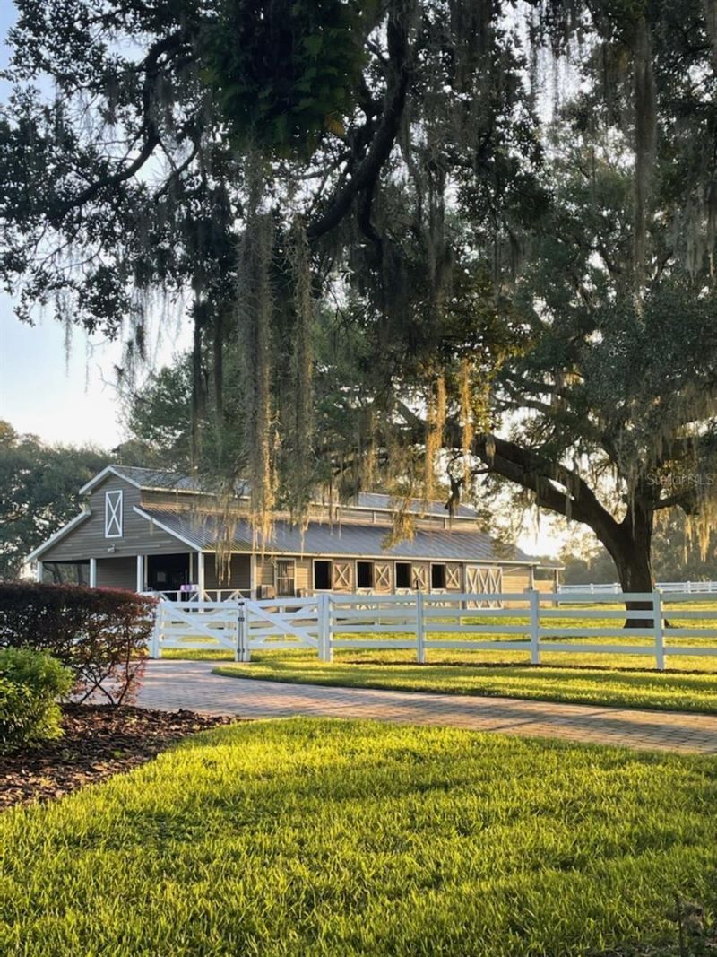 209 Kentucky Blue Circle, Apopka, FL 32712 Photo