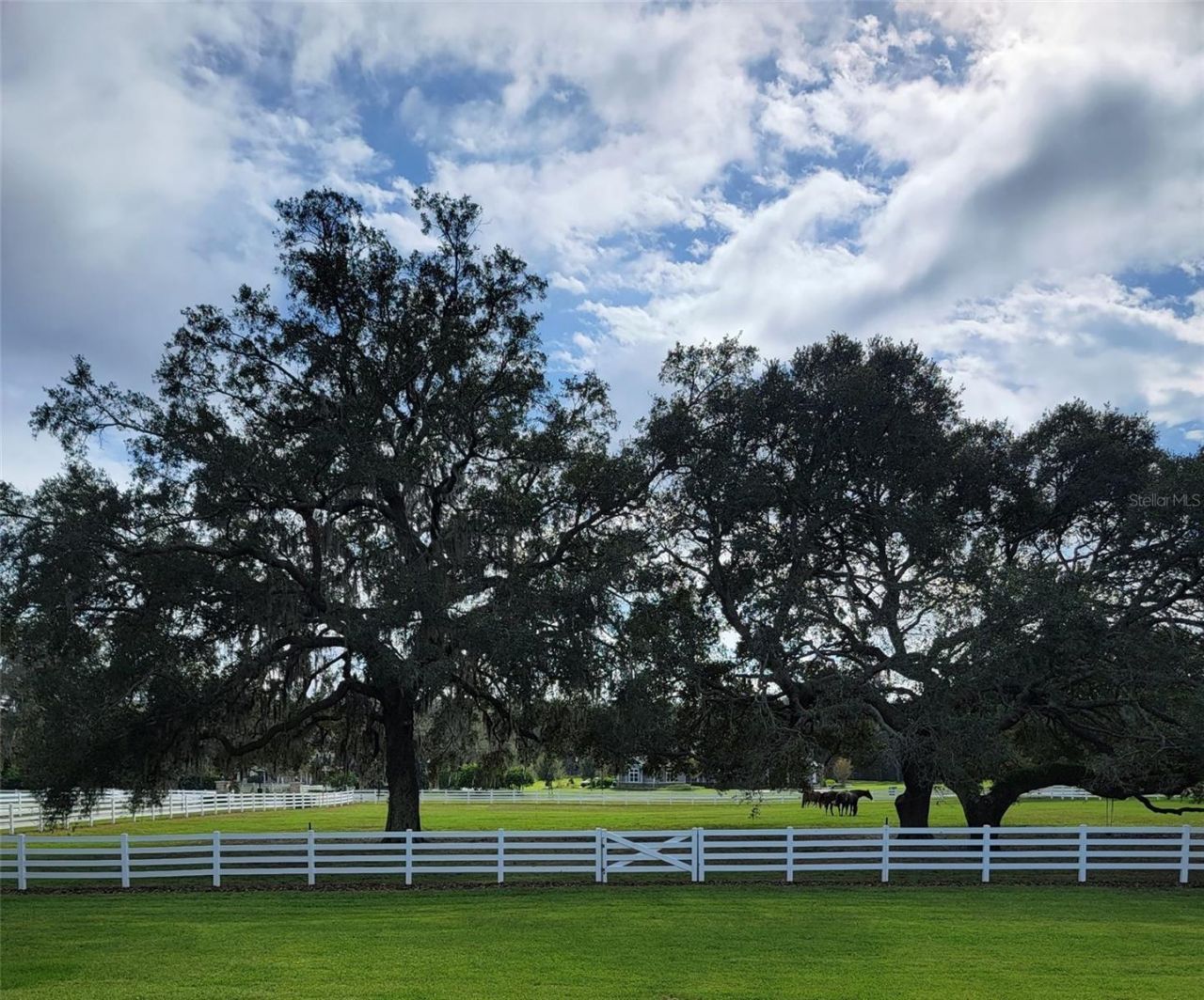 209 Kentucky Blue Circle, Apopka, FL 32712 Photo