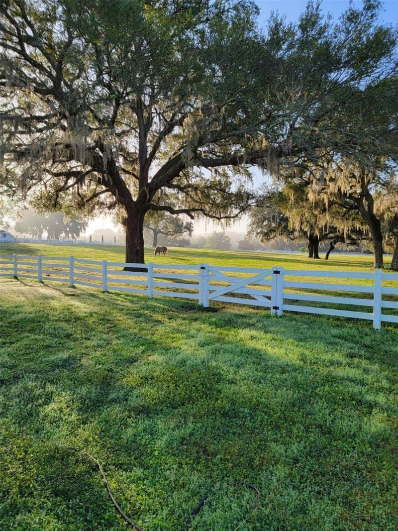 209 Kentucky Blue Circle, Apopka, FL 32712 Photo