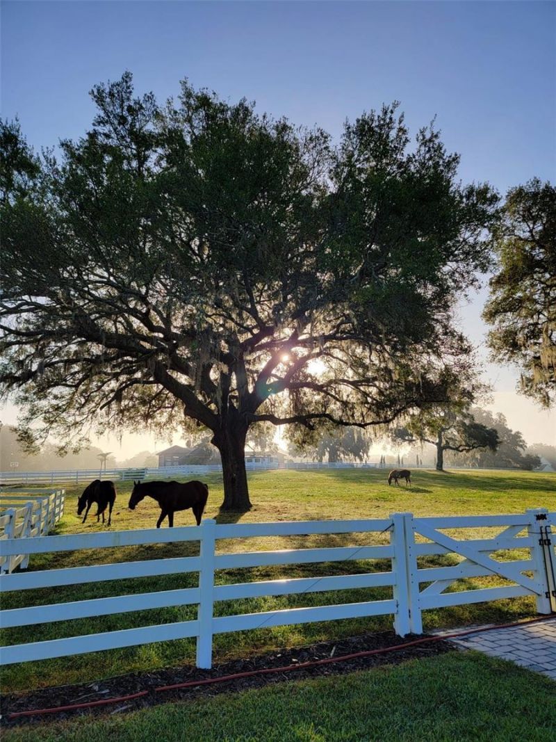 209 Kentucky Blue Circle, Apopka, FL 32712 Photo