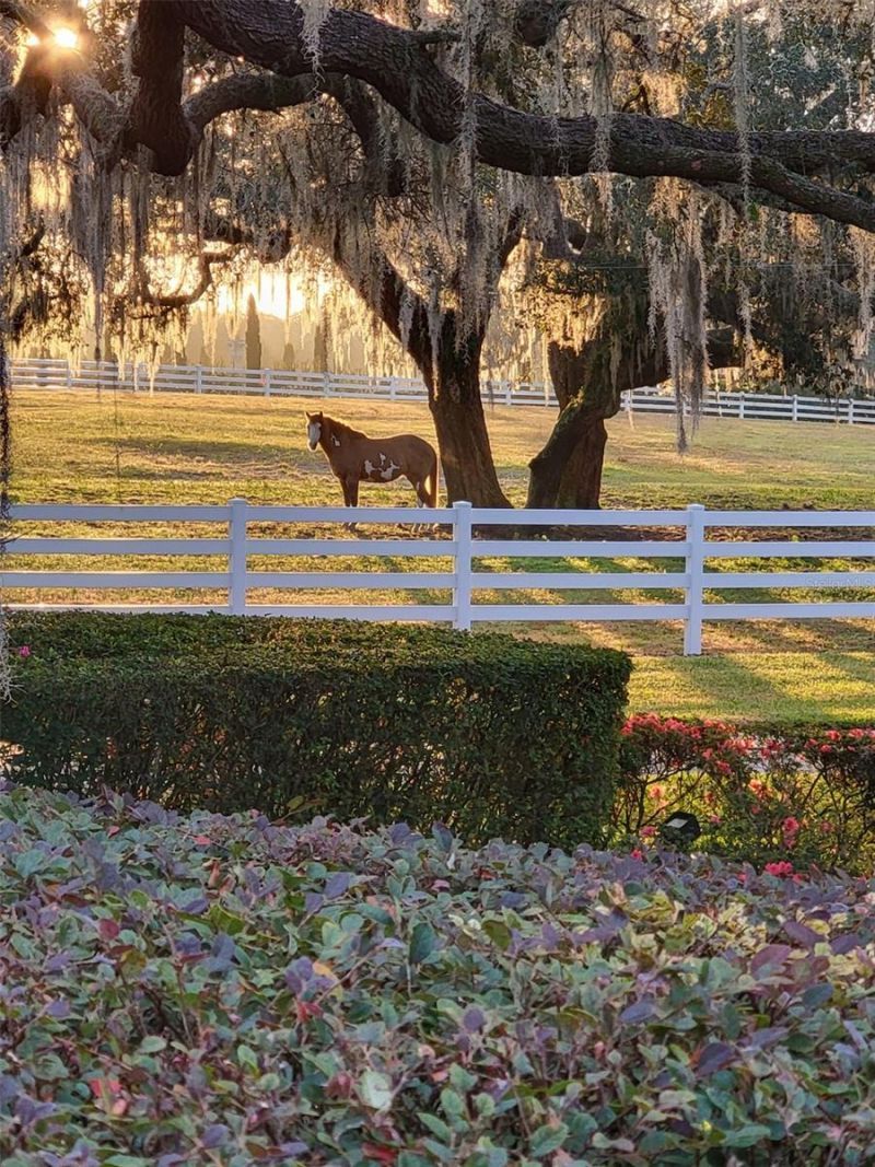 209 Kentucky Blue Circle, Apopka, FL 32712 Photo