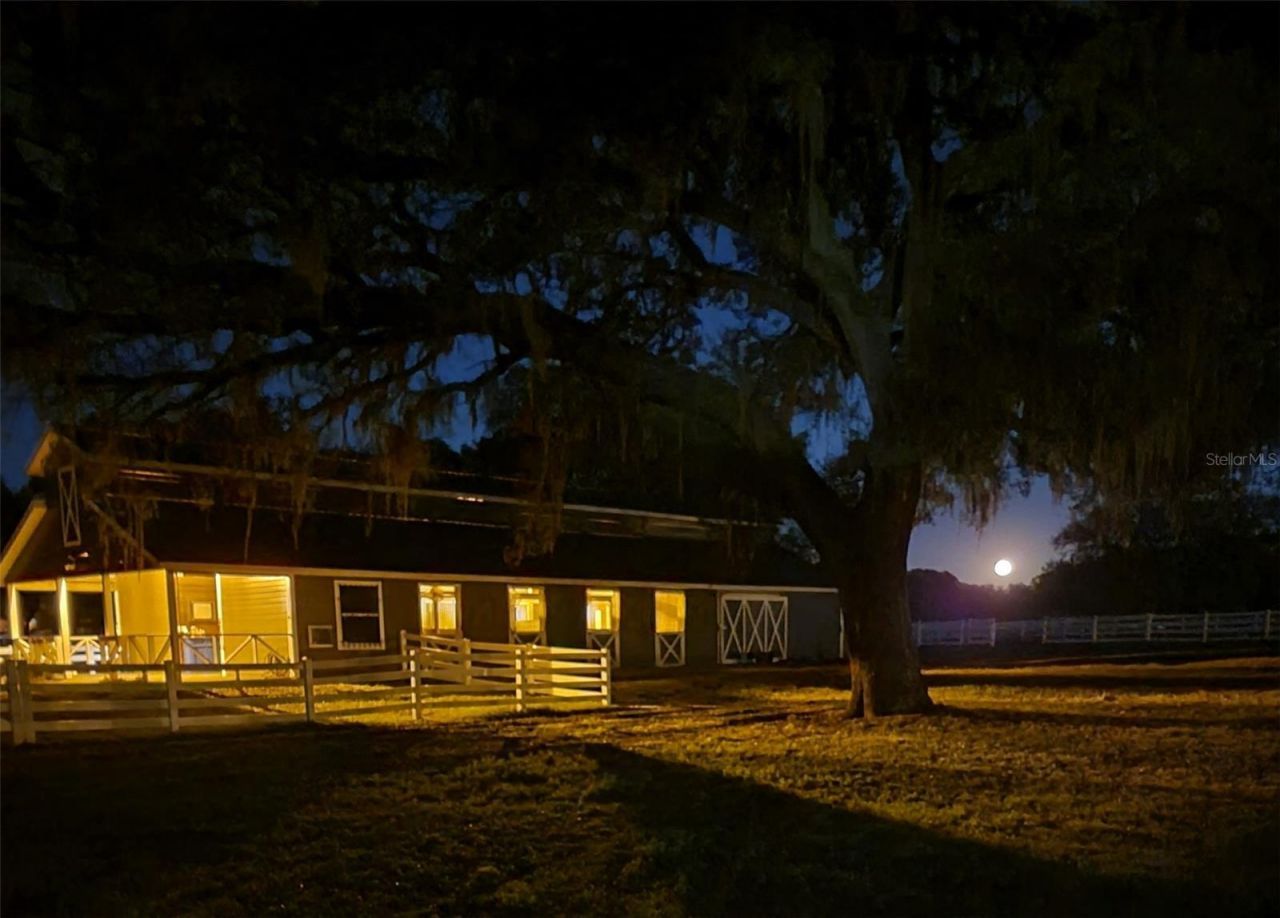 209 Kentucky Blue Circle, Apopka, FL 32712 Photo