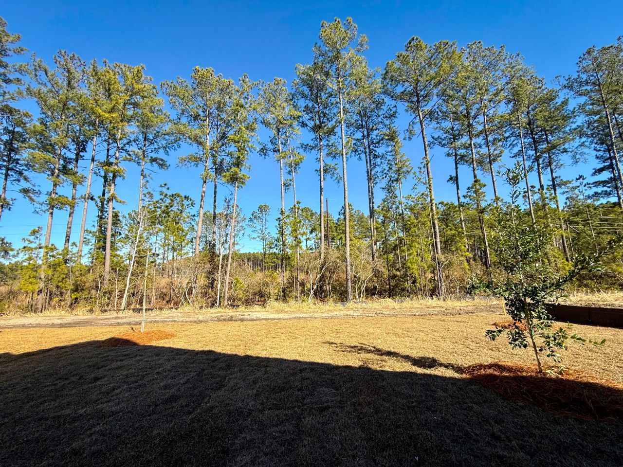 610 June Berry Drive Photo 7