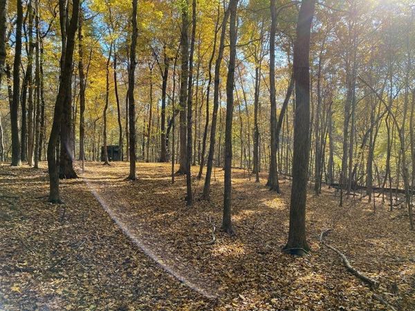 656 Highway 810, Kuttawa, KY 42055