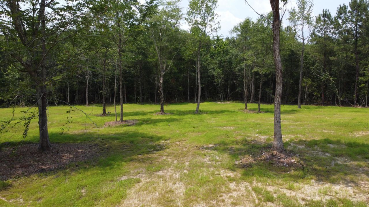 9 Steed Creek Road Photo 10