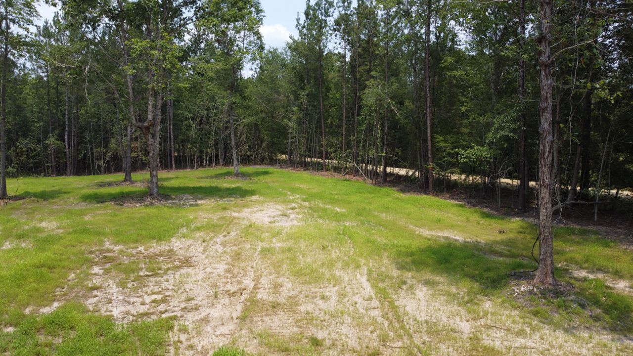 9 Steed Creek Road Photo 11