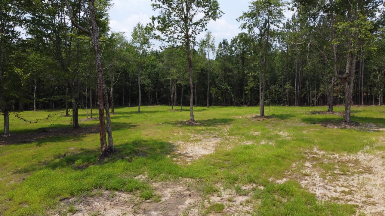 9 Steed Creek Road Photo 12