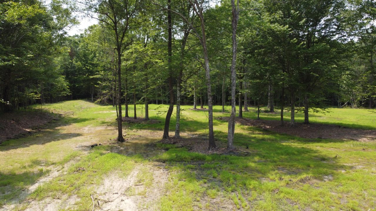 9 Steed Creek Road Photo 14