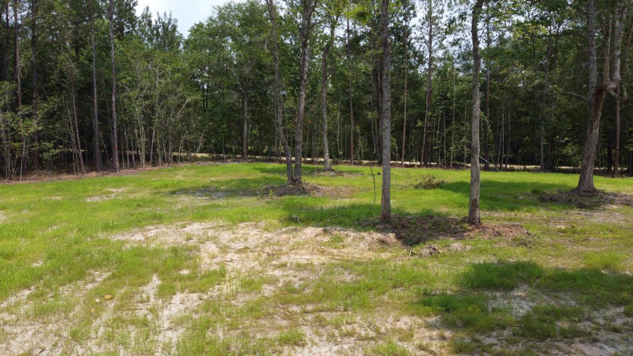 9 Steed Creek Road Photo 4