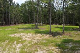 9 Steed Creek Road photo 4