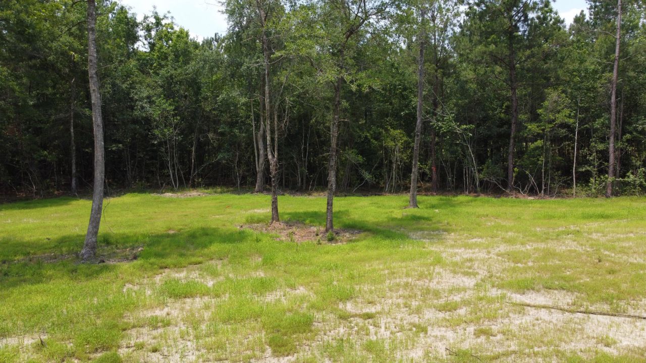 9 Steed Creek Road Photo 5