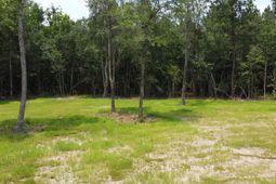 9 Steed Creek Road photo 4