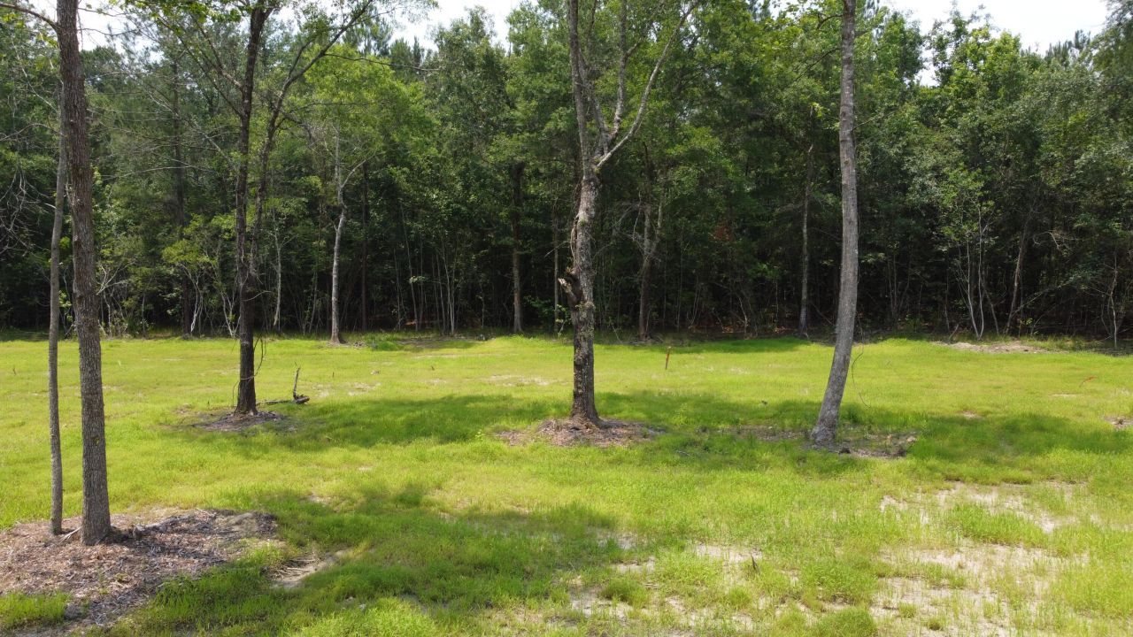 9 Steed Creek Road Photo 6