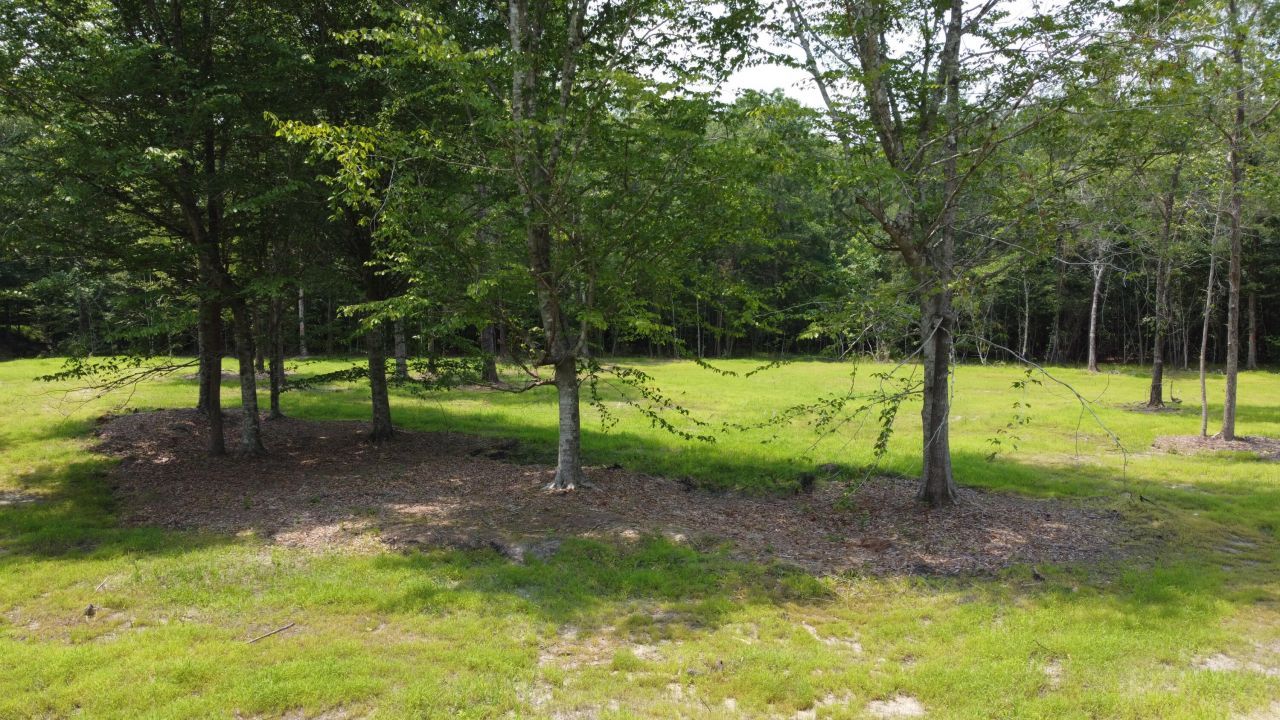 9 Steed Creek Road Photo 9