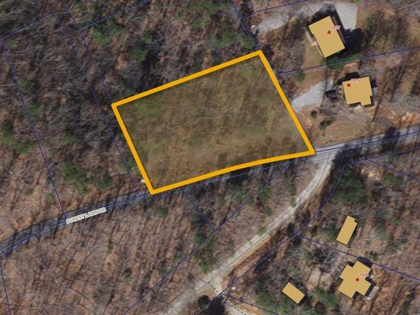 0 Forest Lawn DR, Moneta, VA 24121