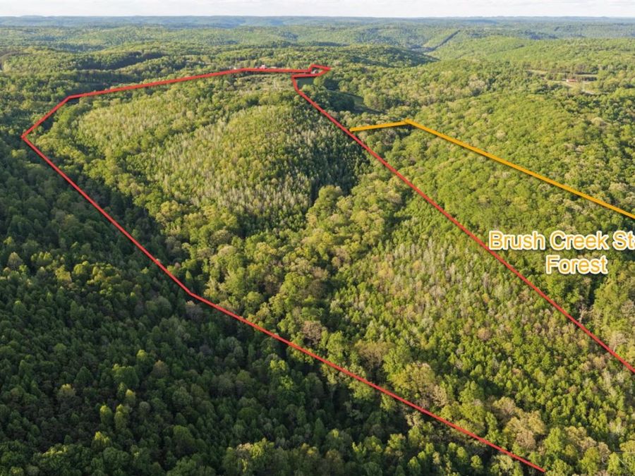 Property Image 4