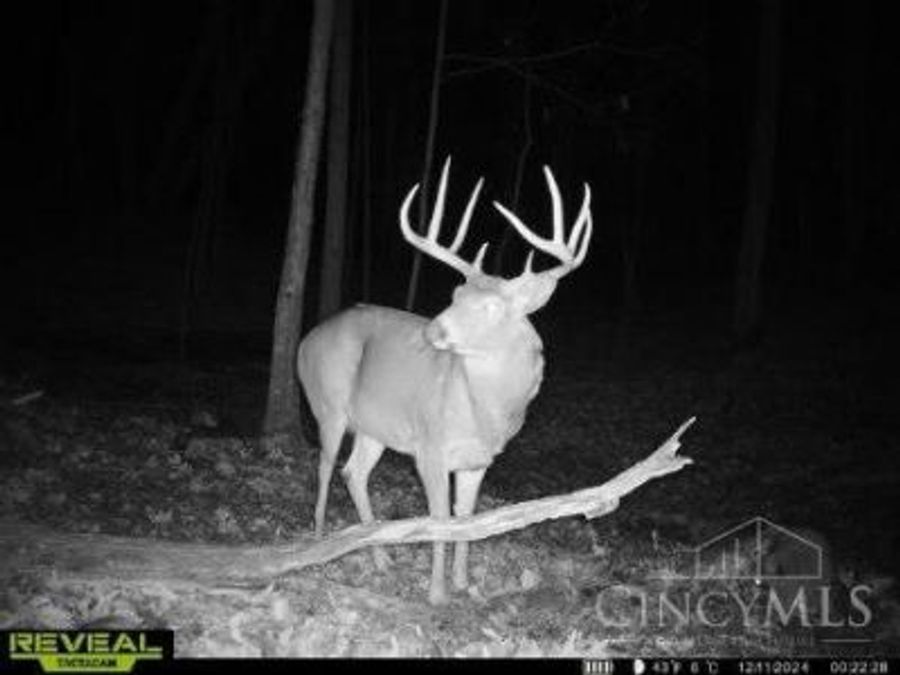 Property Image 38