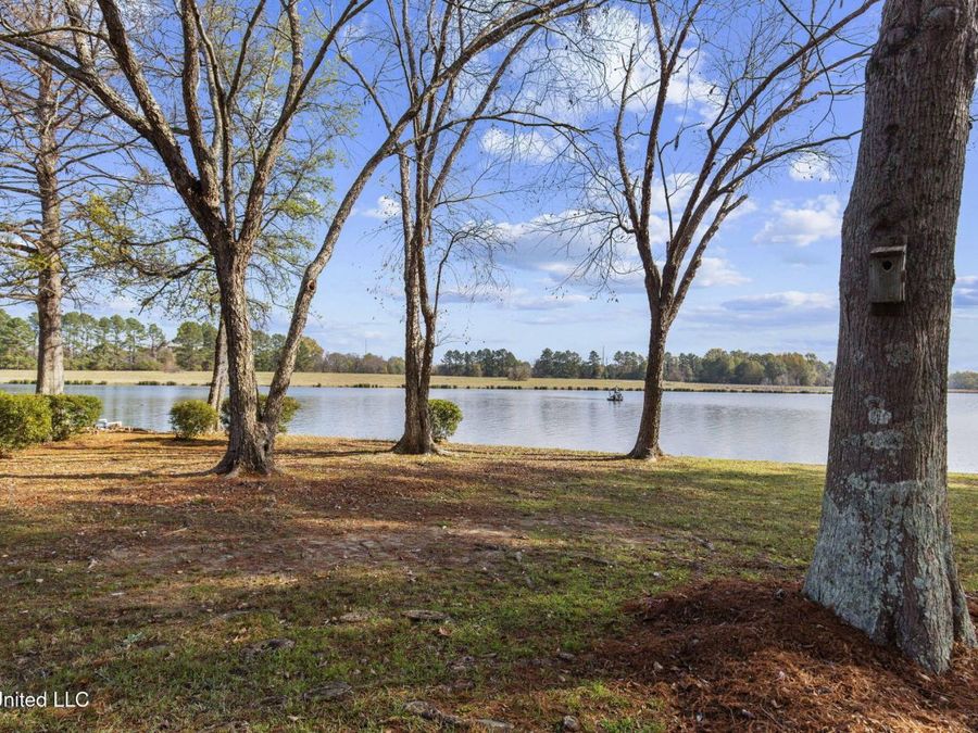 Property Image 61