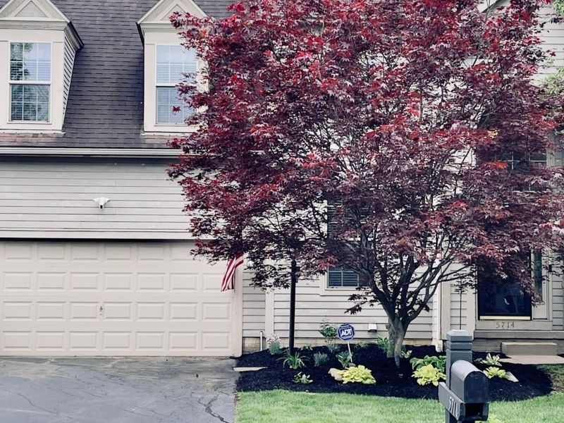 5714 Braymoore Drive, Galena, OH 43021 Photo 2