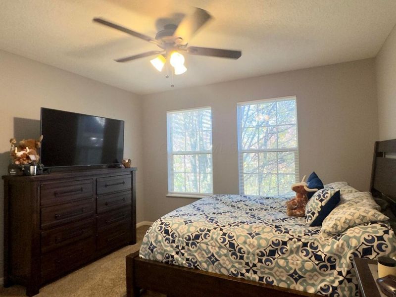 5714 Braymoore Drive, Galena, OH 43021 Photo 5