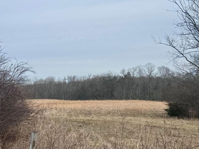 0 Gum Grove Road, Unit Tract 2, Clarksville, OH 45113 Photo 3