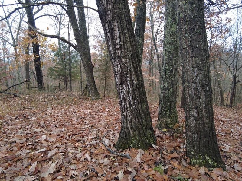 135 Union Hill Road, Peebles, OH 45660 Photo 18