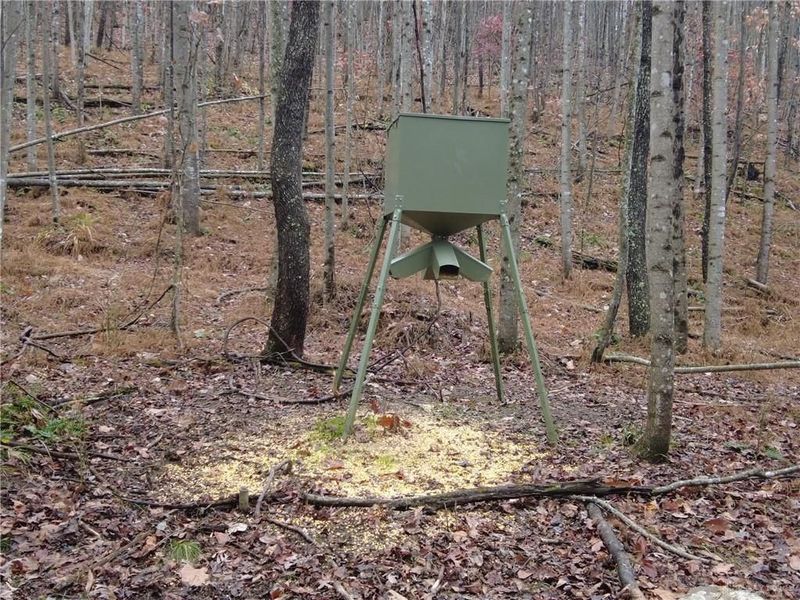 135 Union Hill Road, Peebles, OH 45660 Photo 20