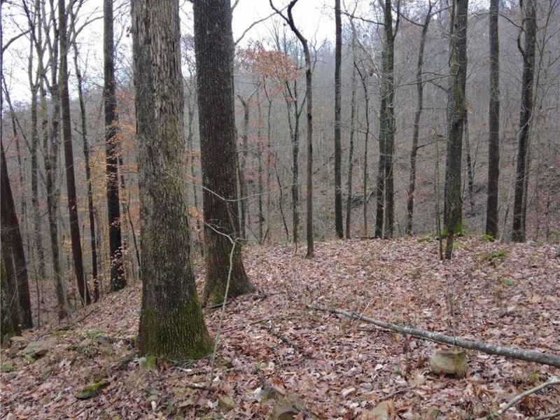 135 Union Hill Road, Peebles, OH 45660 Photo 23