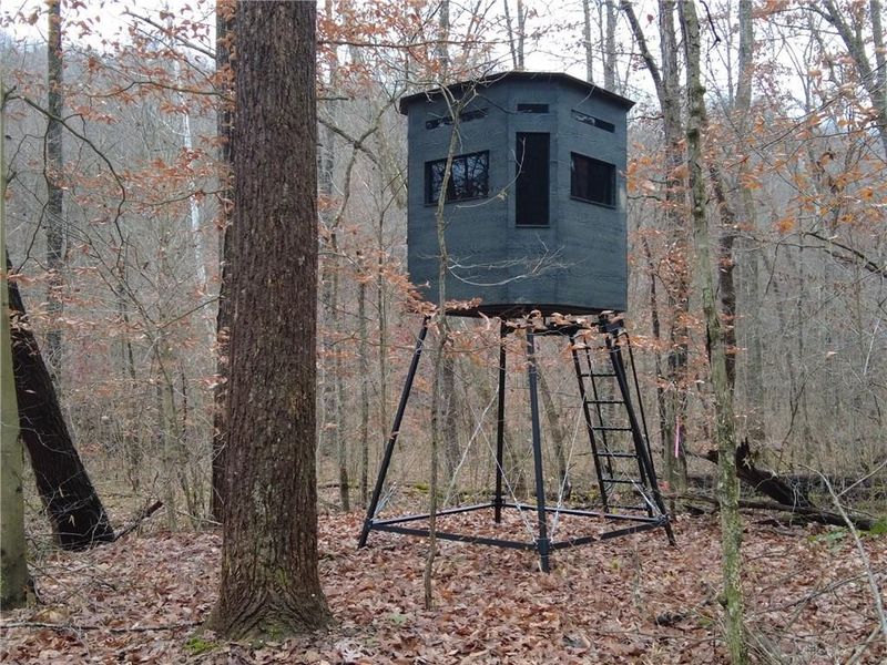 135 Union Hill Road, Peebles, OH 45660 Photo 25