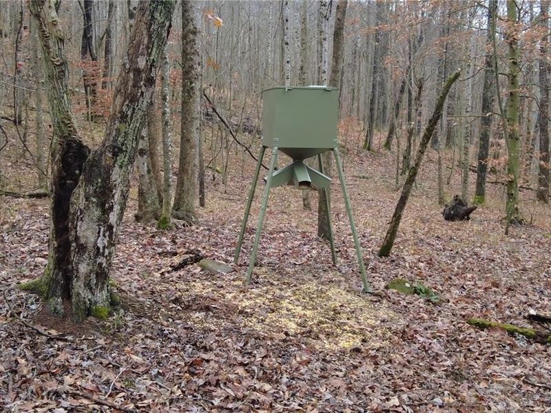 135 Union Hill Road, Peebles, OH 45660 Photo 28