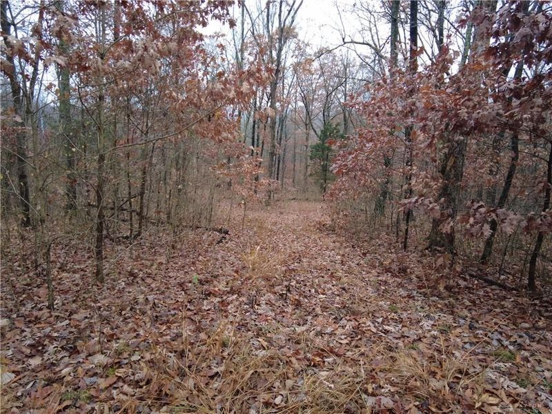 135 Union Hill Road, Peebles, OH 45660 Photo 29