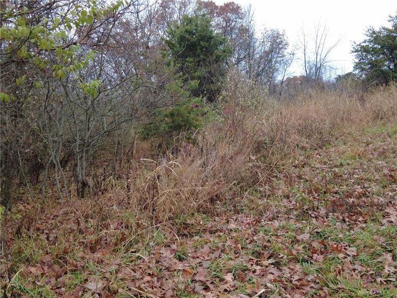 135 Union Hill Road, Peebles, OH 45660 Photo 30