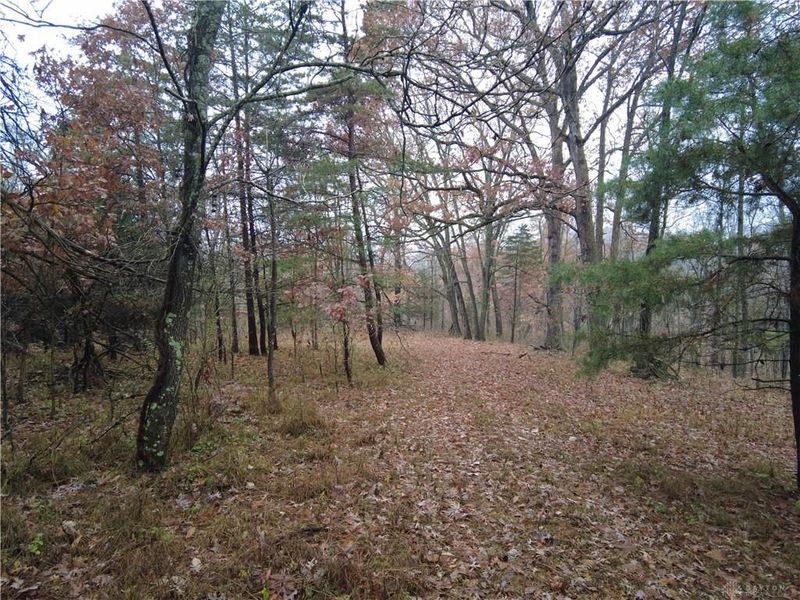 135 Union Hill Road, Peebles, OH 45660 Photo 37