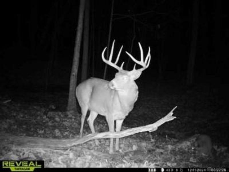 135 Union Hill Road, Peebles, OH 45660 Photo 39