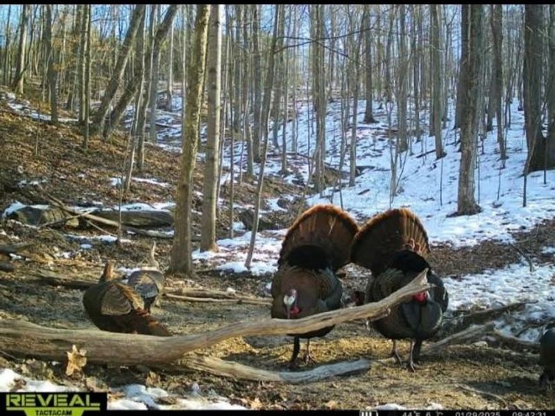 135 Union Hill Road, Peebles, OH 45660 Photo 40