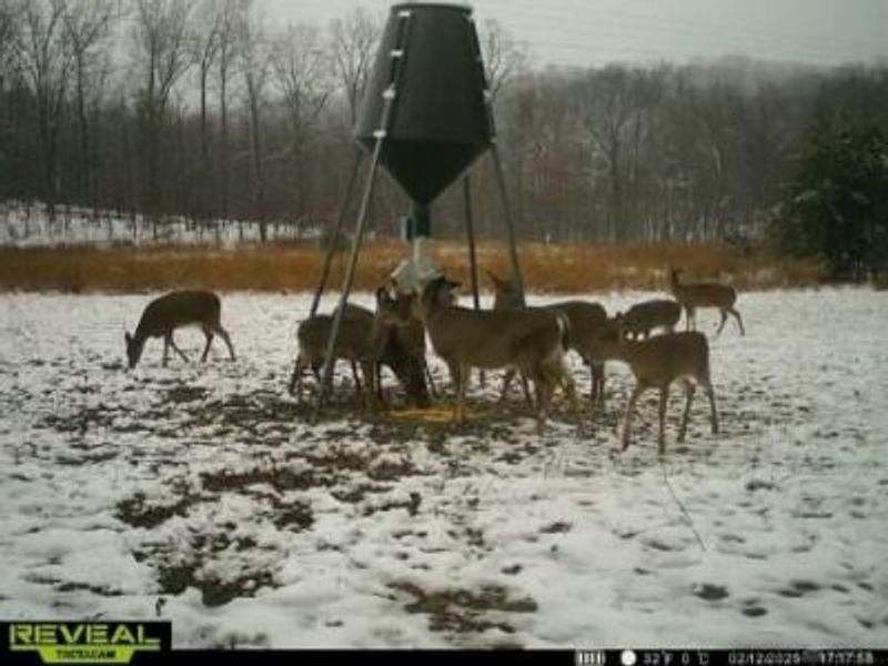 135 Union Hill Road, Peebles, OH 45660 Photo 43