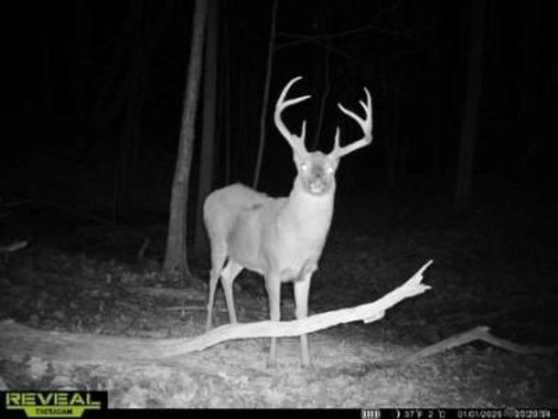 135 Union Hill Road, Peebles, OH 45660 Photo 44