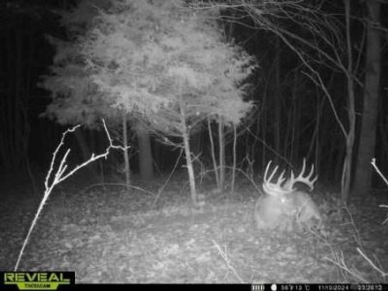 135 Union Hill Road, Peebles, OH 45660 Photo 45